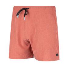 AVID Latitude Volley Shorts (Men’s)