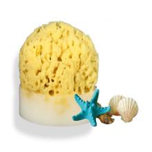 Splash Soap Company Sea Sponge Soap