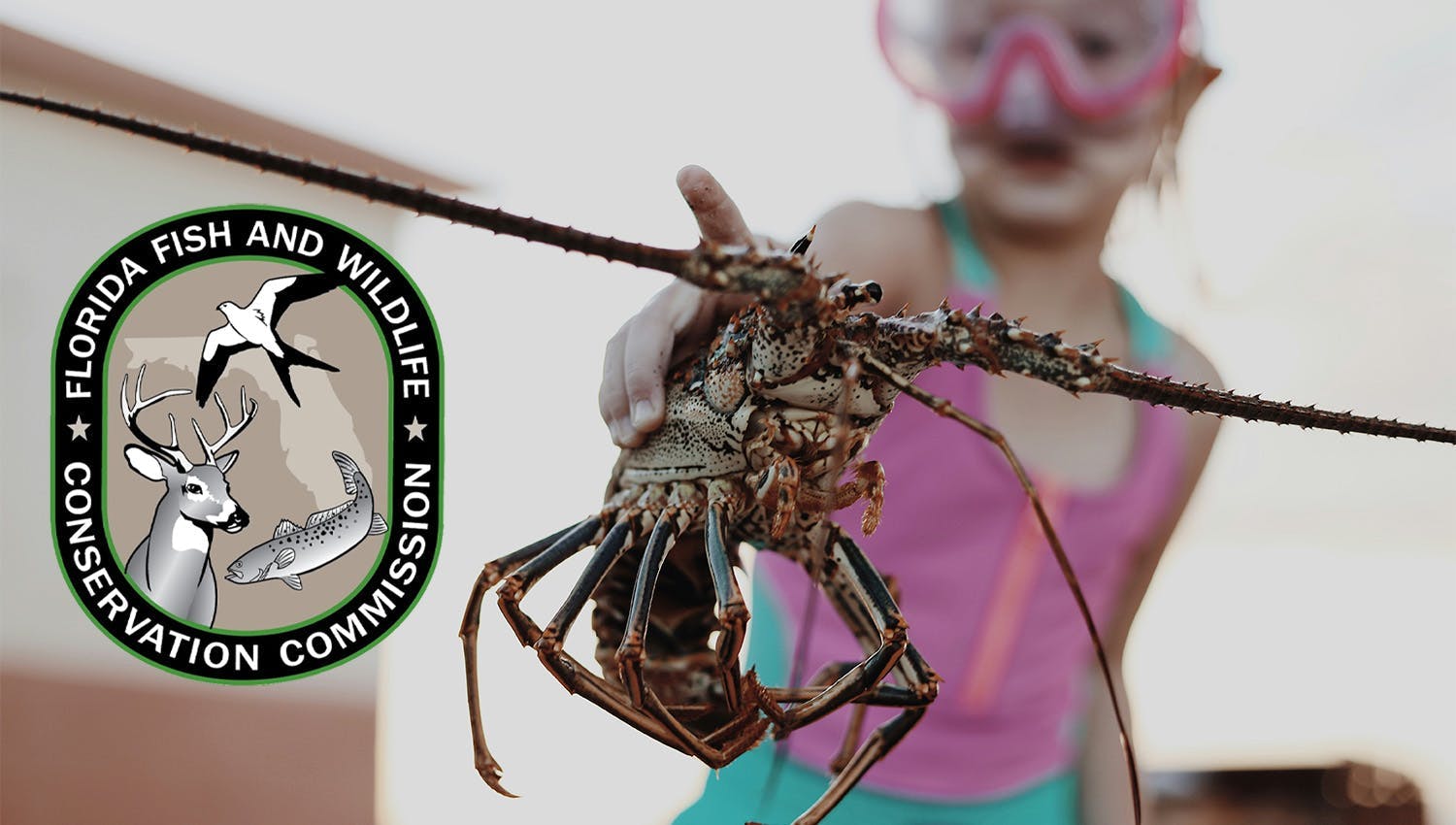 Young girl holding a Florida lobster with the FWC logo to the left of her 