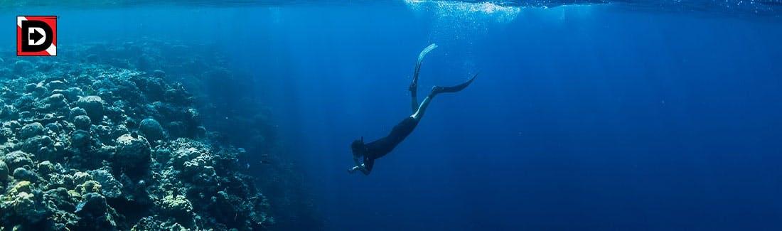 Blog banner with freediver and divers direct logo