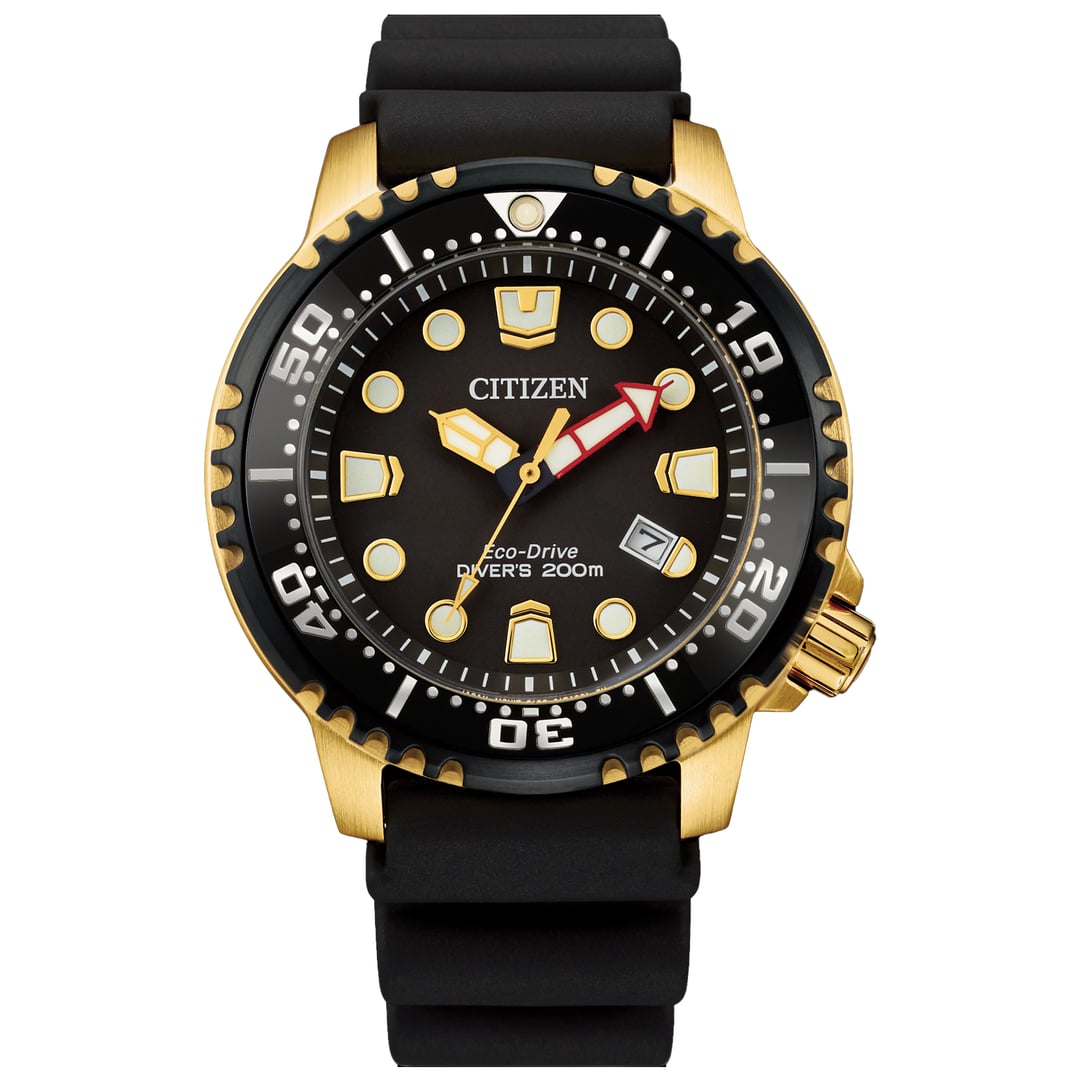 Citizen Professional Diver Dive Watch