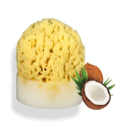 Splash Soap Company Sea Sponge Soap - Island Coconut Thumbnail}