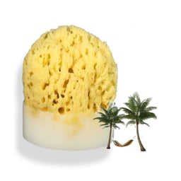 Splash Soap Company Sea Sponge Soap - Caribbean Escape Thumbnail}