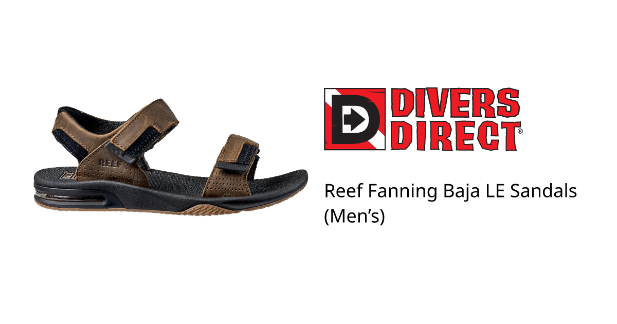 Reef hiking sandals online